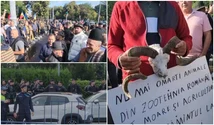 „Ne-a ajuns cuțitul la os”. Oierii s-au ridicat împotriva Guvernului și amenință că nu mai pleacă din București. Au venit cu provizii pentru o săptămână. Cine i-a chemat în stradă și ce a declanșat revolta