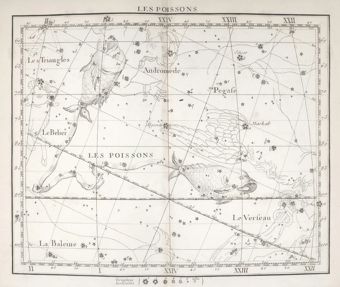 Foto: The New York Public Library / Unsplash