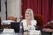 Război total în PNL: 16 parlamentari din „tabăra Thuma” și-au dat în judecată propriul partid pentru blocarea Guvernului Veștea