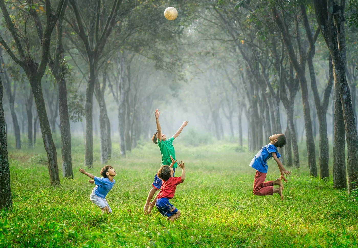 Photo by Robert Collins / Unsplash