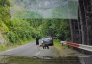VIDEO Imaginile momentului pe Transfăgărășan.Un urs s-a apropiat pe la spate de un turist și a încercat să-l muște. Reacția bărbatului i-a uimit pe toți