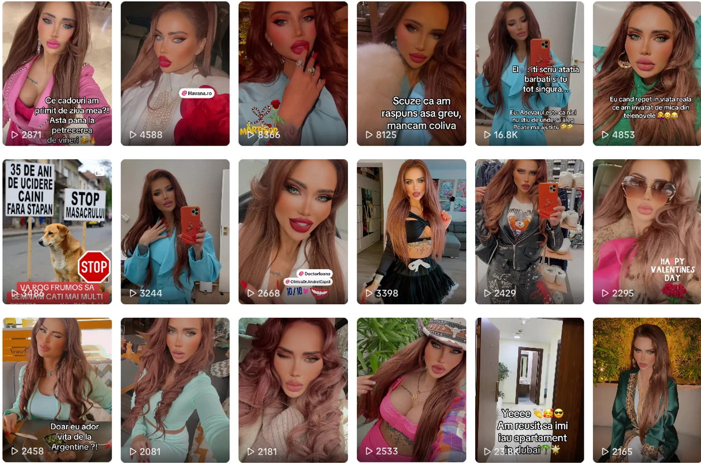 Imagine galerie articol