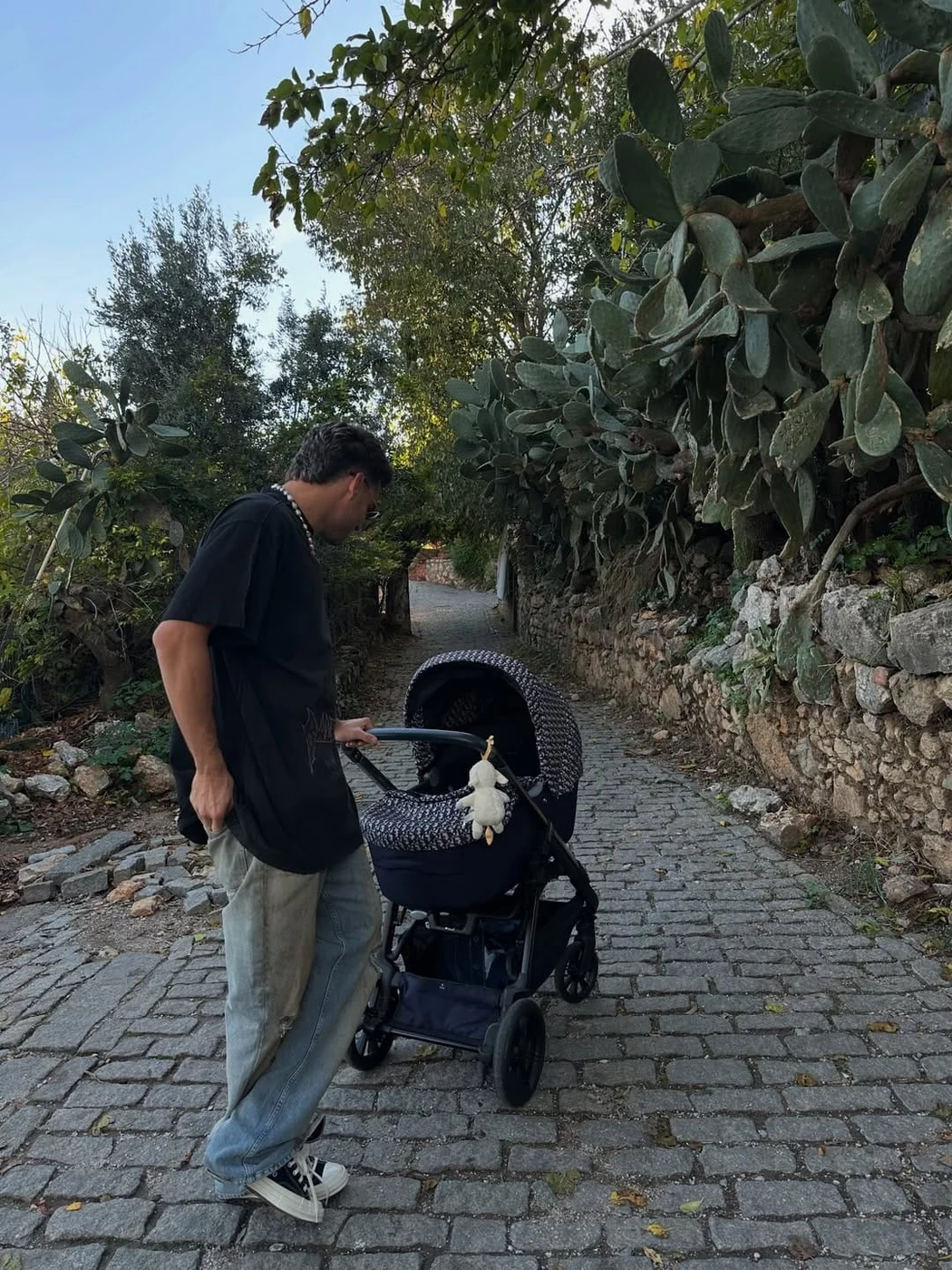 Imagine galerie articol