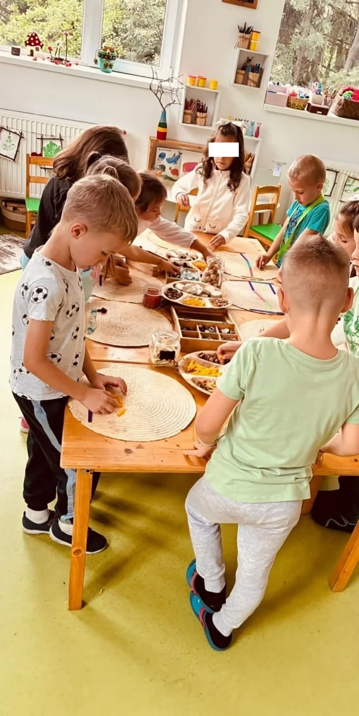 Imagine galerie articol