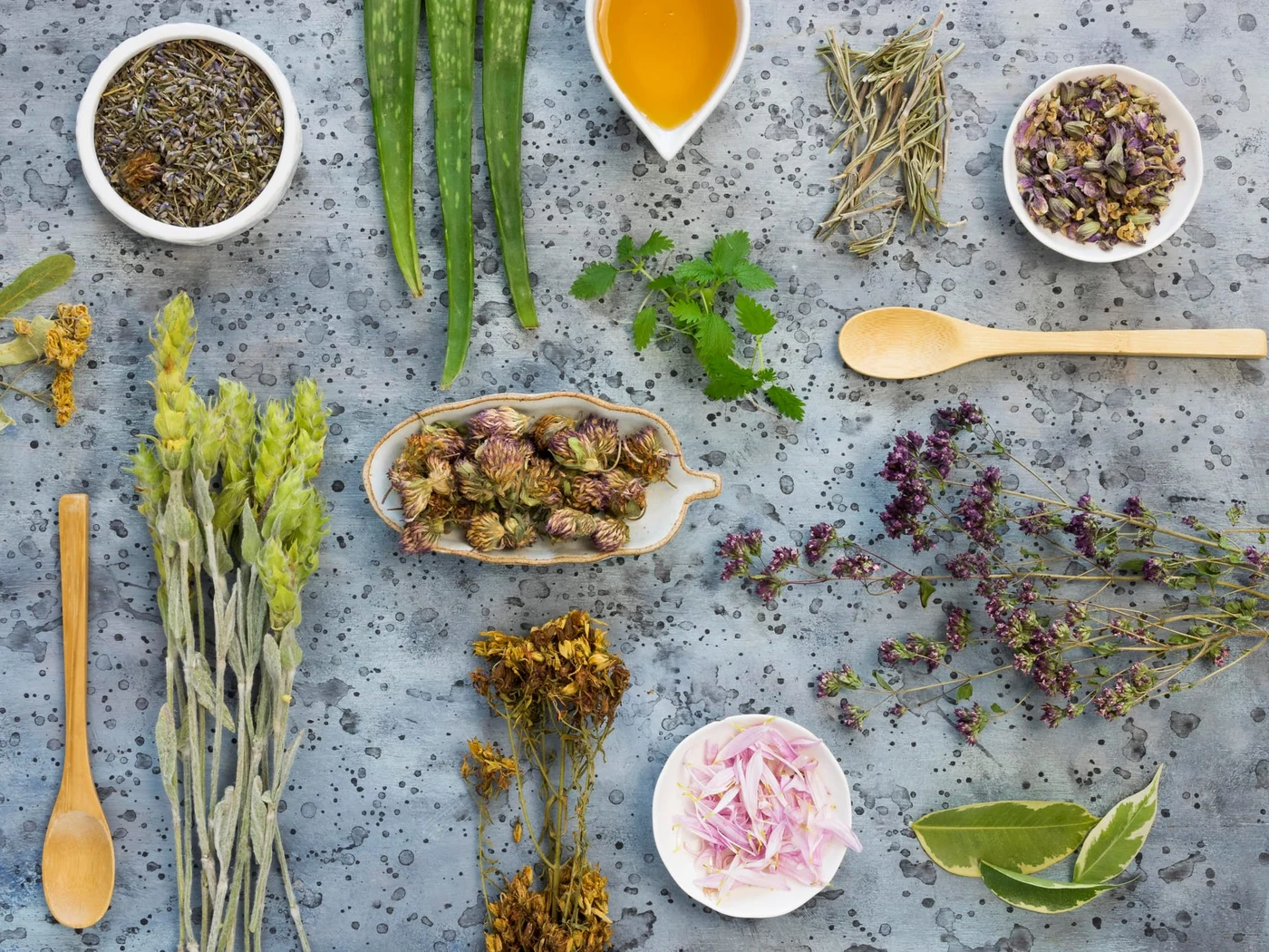 Plante medicinale împotriva răcelii. Foto: Freepick.com