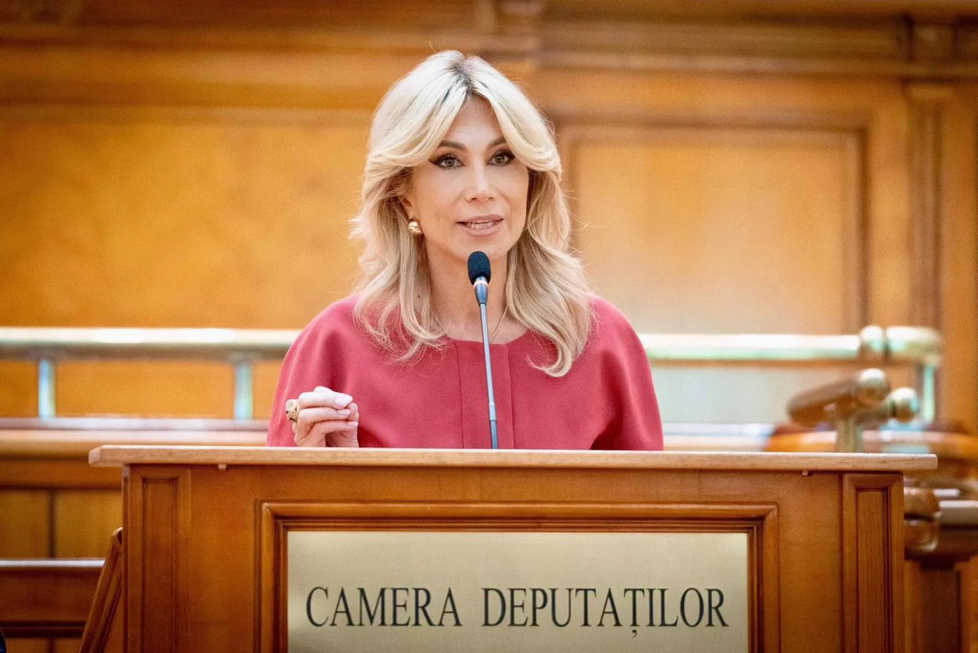 Foto: Facebook / Raluca Turcan