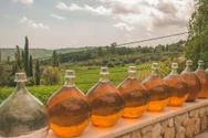 Cât de repede se strică vinul după ce ai deschis sticla. Cum să-l păstrezi proaspăt