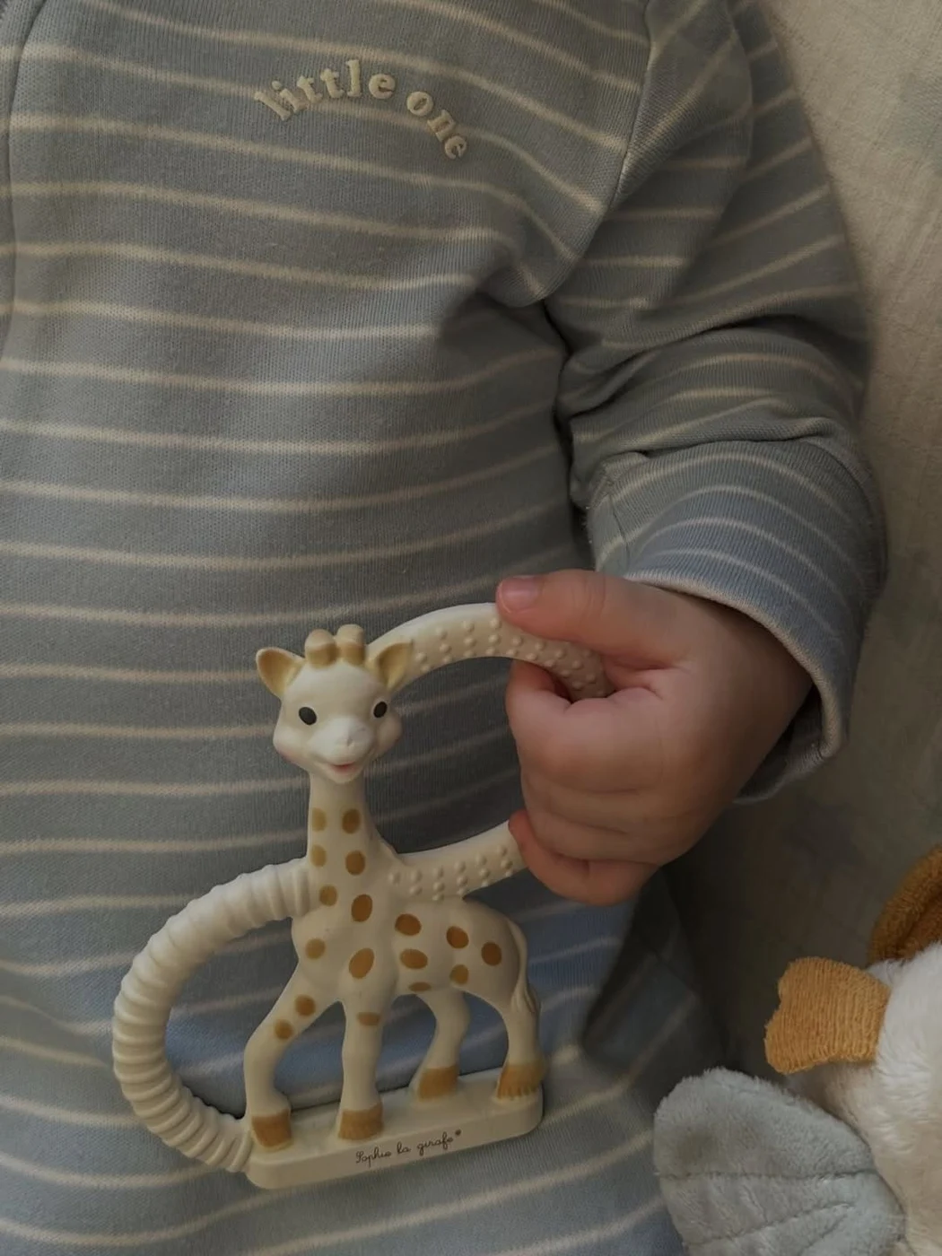 Imagine galerie articol