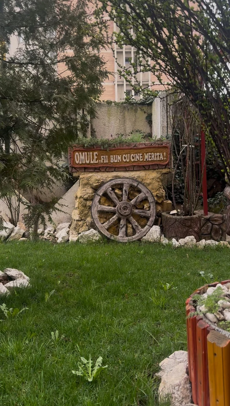 Imagine galerie articol