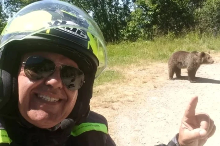 Să nu faceți asta niciodată: Gestul turistului italian cu doar câteva minute înainte să fie ucis de ursoaică pe Transfăgărășan. De ce l-a sfâșiat, de fapt, ursoaica