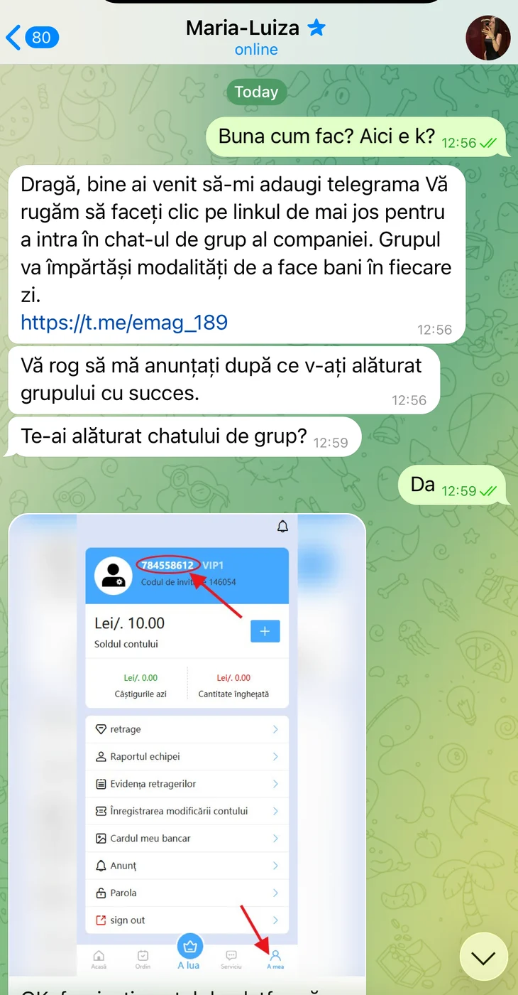 Imagine galerie articol