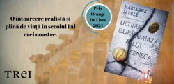 Ultima după-amiază a lui Seneca — introspecția unui filosof în fața destinului