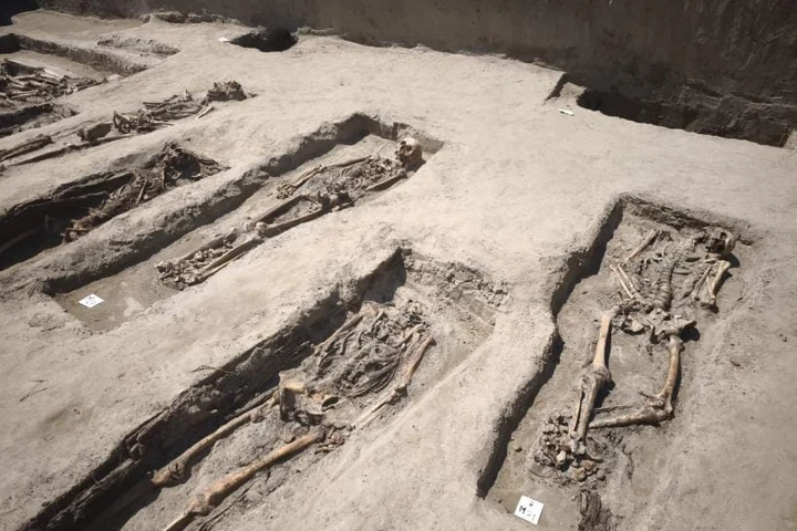 Imagini greu de privit cu groapa comună din Insula Mare a Brăilei. Cadavrele erau adunate și transportate noaptea cu căruțe din lagărul de la Salcia. Peste 1.500 au murit în chinuri groaznice: „Aici s-a încercat ștergerea urmelor crimelor”