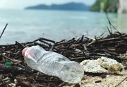 Dezinformarea ne costă viitorul: cum suntem manipulați în fața crizei climatice
