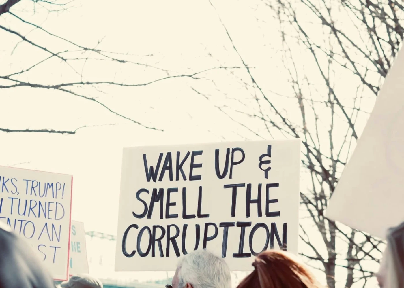Photo by Barbara Burgess / Unsplash