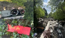 Unde să bei cel mai bun vin românesc în Brașov. JUNO Wine Garden, locul secret de După Ziduri din inima Brașovului