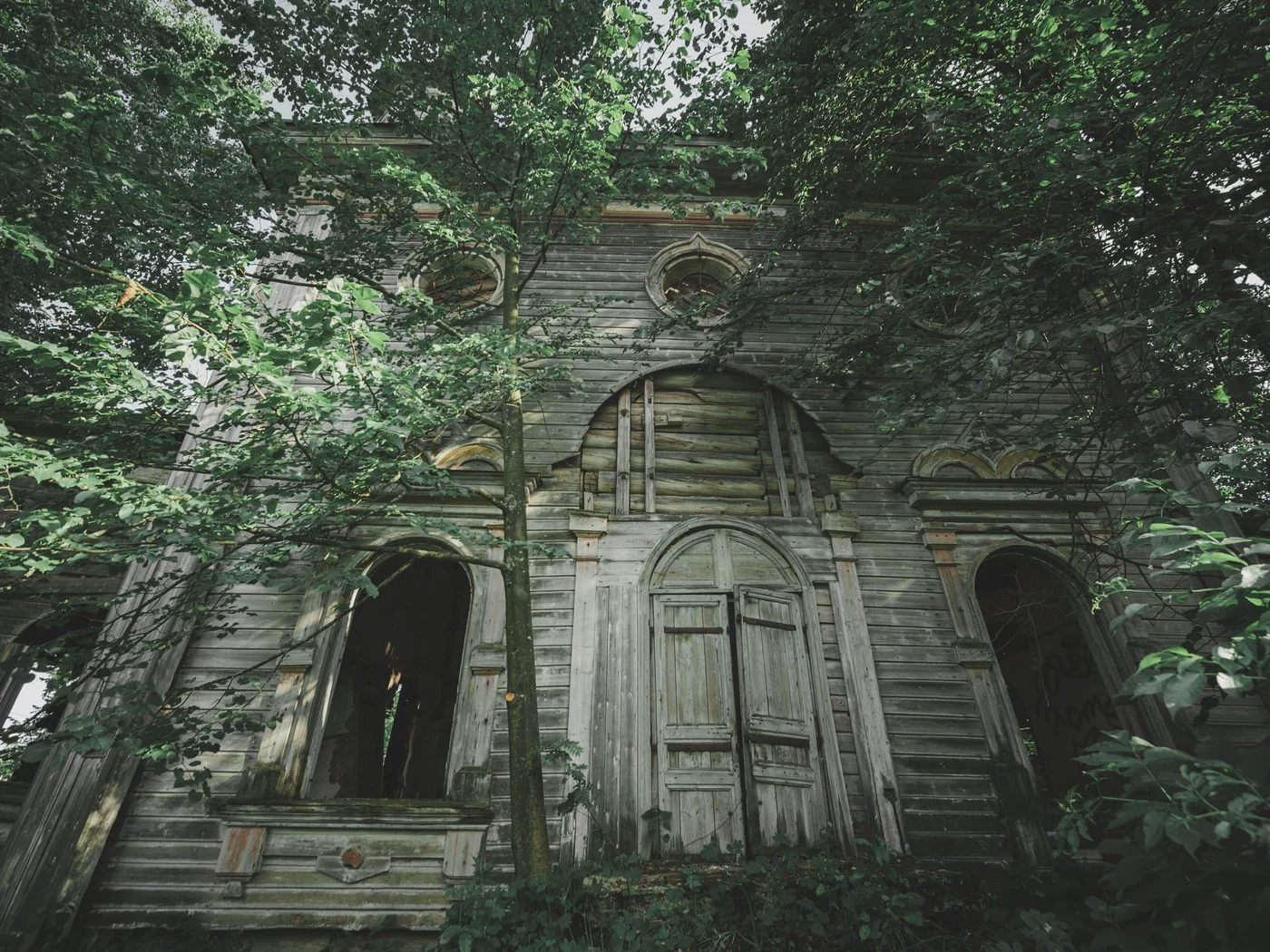 Photo by Dmitry Dmitry / Unsplash