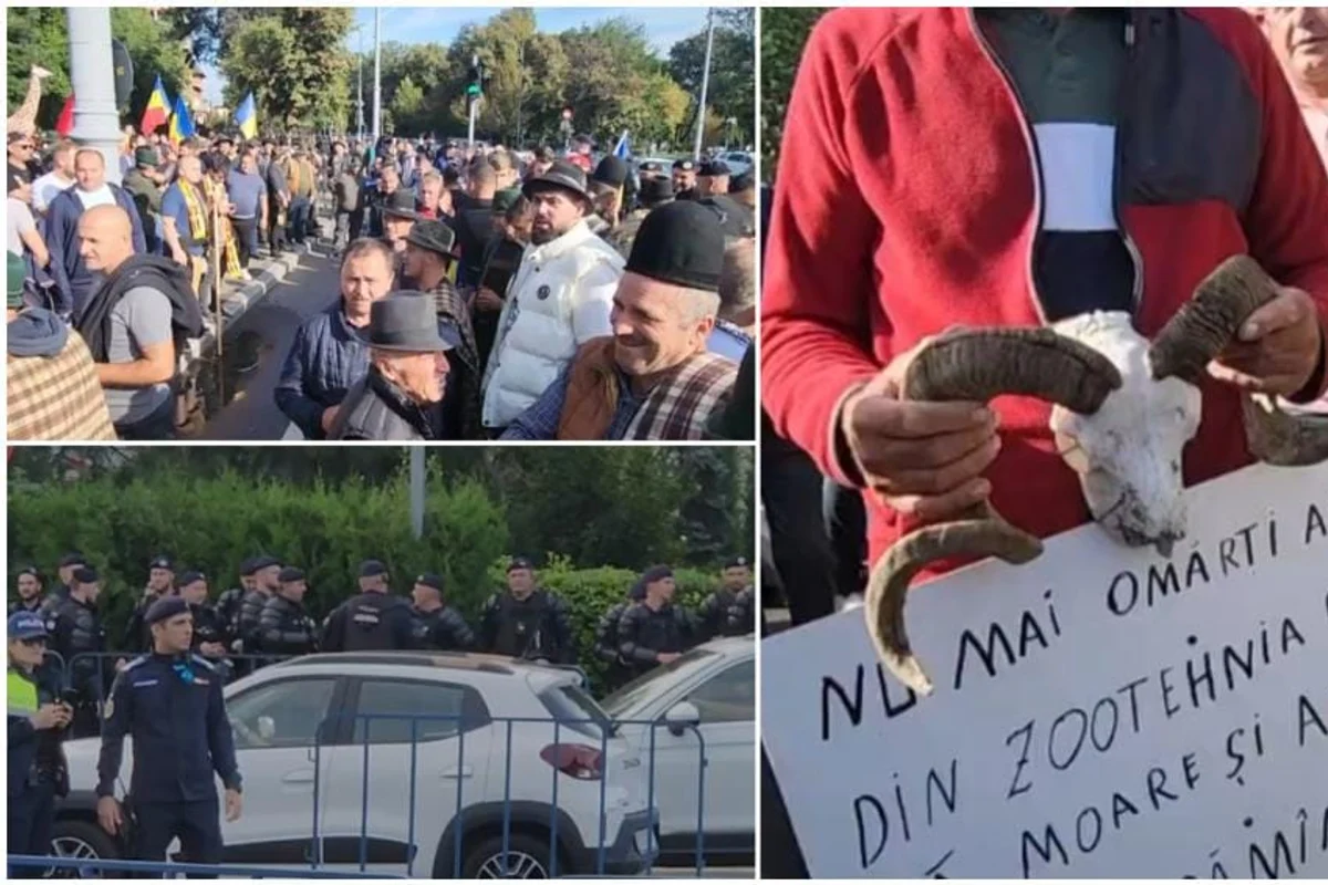 „Ne-a ajuns cuțitul la os”. Oierii s-au ridicat împotriva Guvernului și amenință că nu mai pleacă din București. Au venit cu provizii pentru o săptămână. Cine i-a chemat în stradă și ce a declanșat revolta