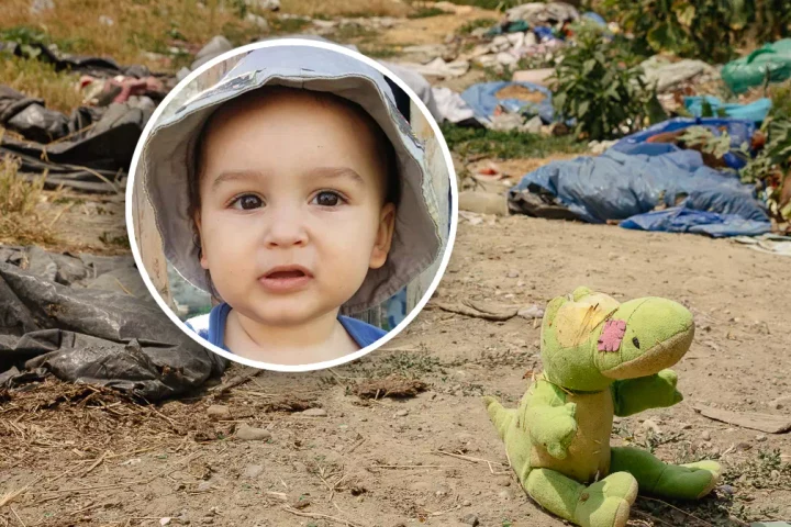 Copil de 3 ani, ucis de câini pe un teren viran al primăriei. La zece luni de la tragedie, ancheta vizează doi suspecți