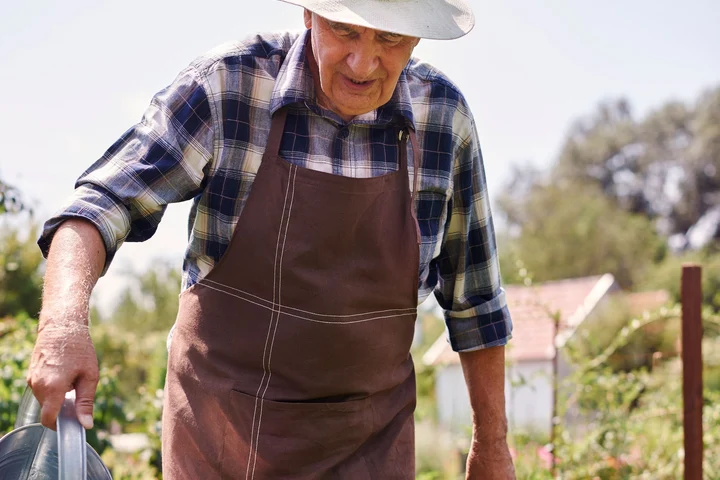 Lămâița românească, planta de pe câmpuri plină de antioxidanți care are rol antiinflamator și ajută în cazul bolilor de stomac, inimă și diabet