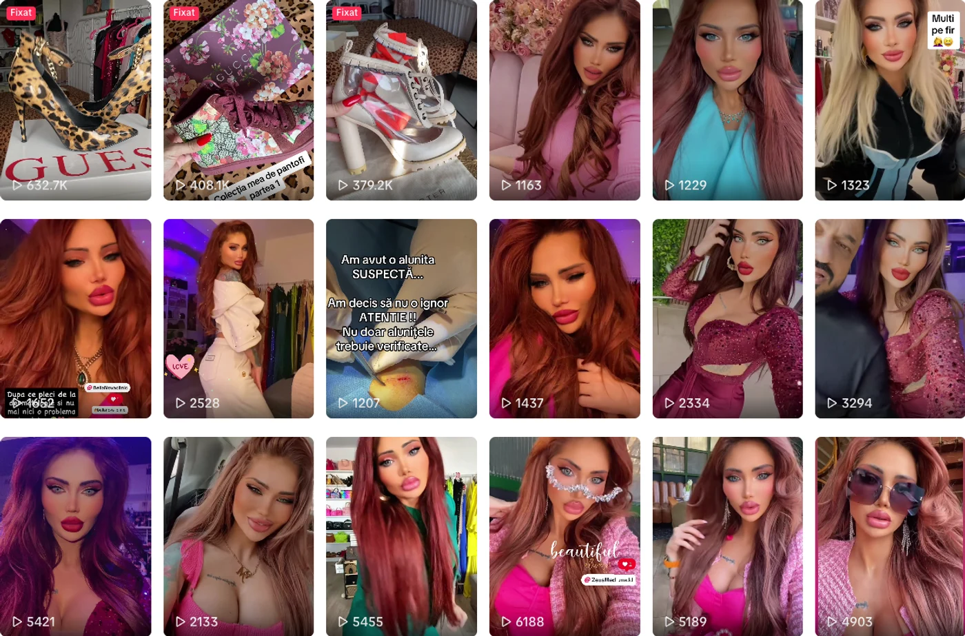 Imagine galerie articol