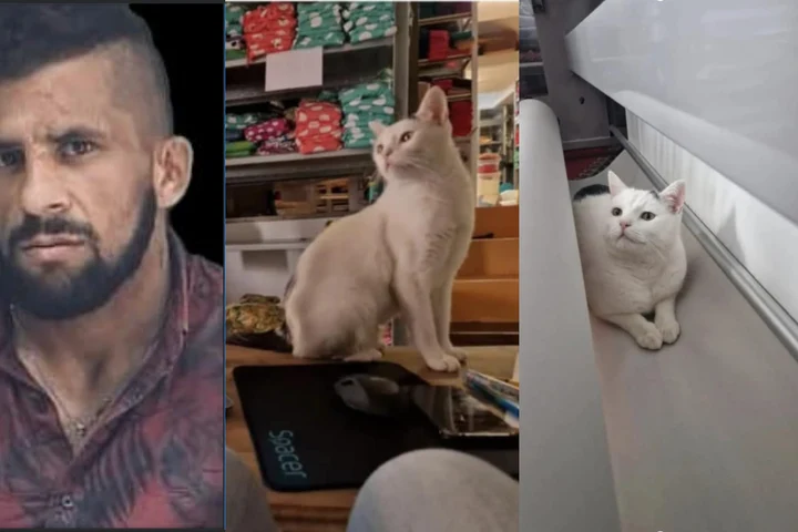 Situație halucinantă în Râșnov. Un bărbat condamnat pentru tentativă de viol a ucis cu cruzime un animal, sub privirile înspăimântate ale copiilor. Micuții l-au închis pe individ în ghenă: „Sunt marcați pe viață pentru ceea ce au văzut”