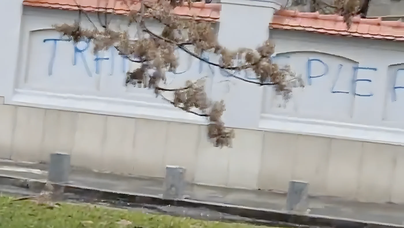 Vandalizare zid Cotroceni - captură X