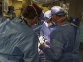 Premieră medicală: Transplant de rinichi de la un porc modificat genetic la om
