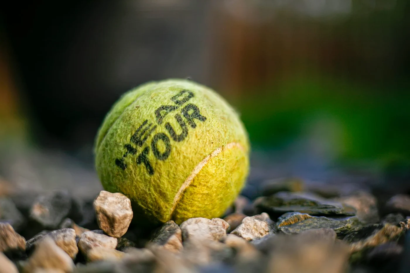 Photo by Jonathan Cosens Photography / Unsplash