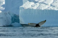 Reacția Groenlandei la vizita lui Vance cu soția pe insula arctică. Putin trage un semnal de alarmă: „SUA vor continua să avanseze. Rusia nu a amenințat niciodată pe nimeni în Arctica”