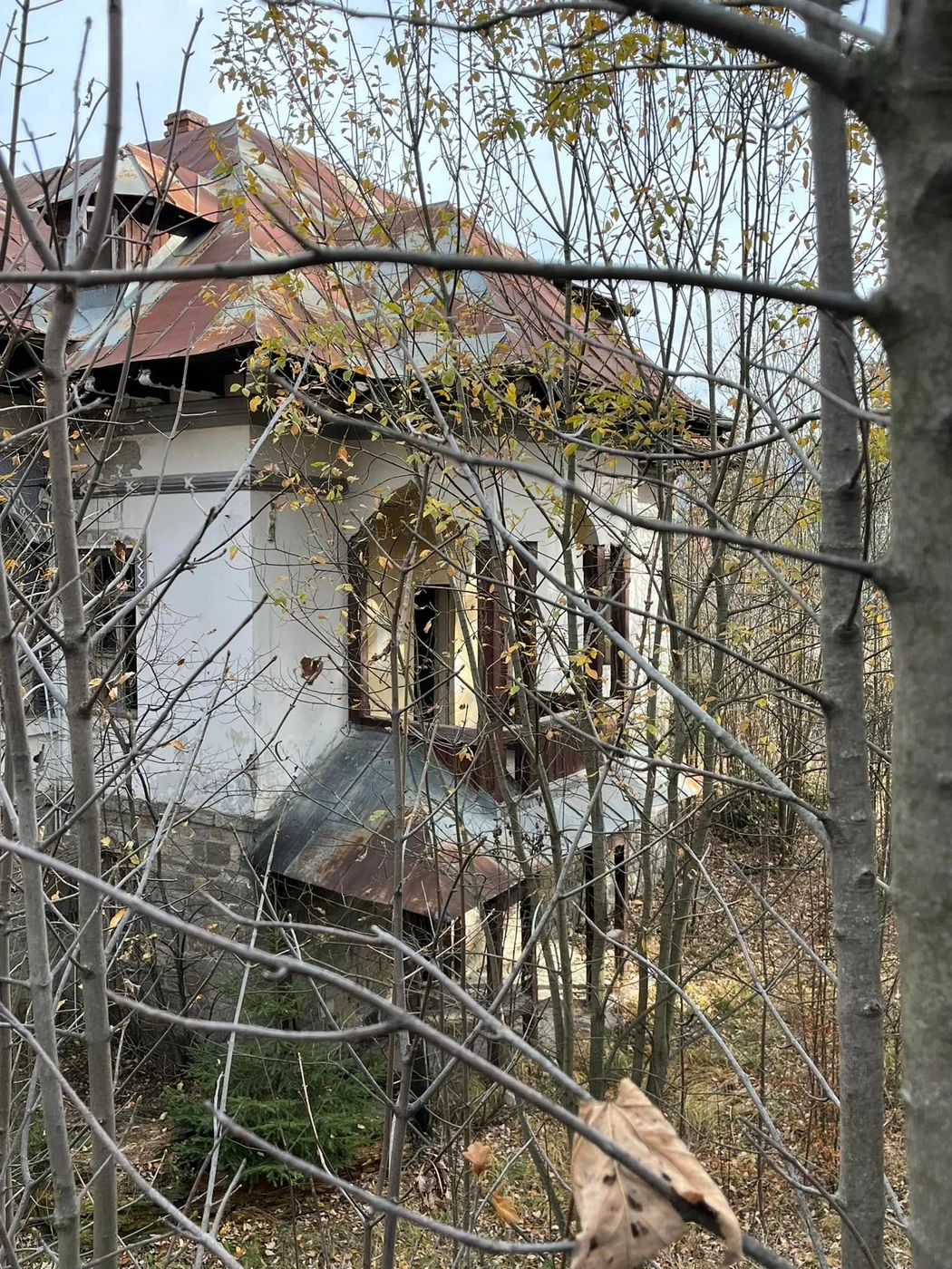 Imagine galerie articol