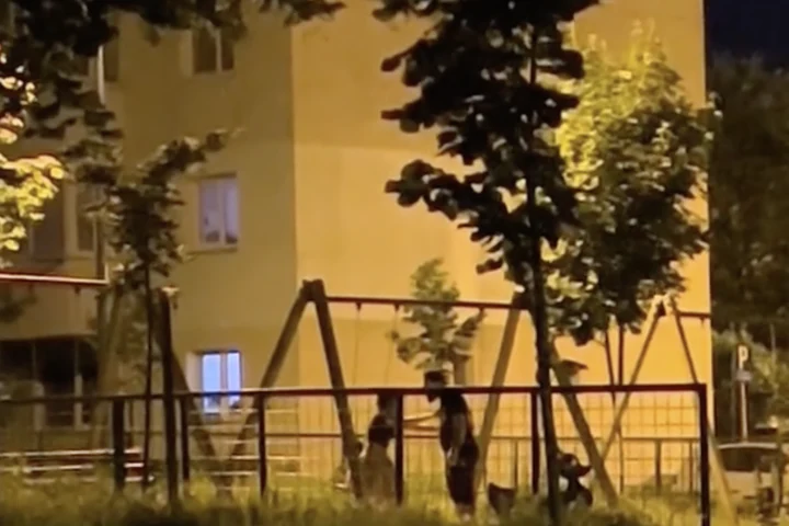 VIDEO: Un bărbat din Brașov, surprins bătându-și soția într-un loc de joacă, sub privirile copilului lor care plângea