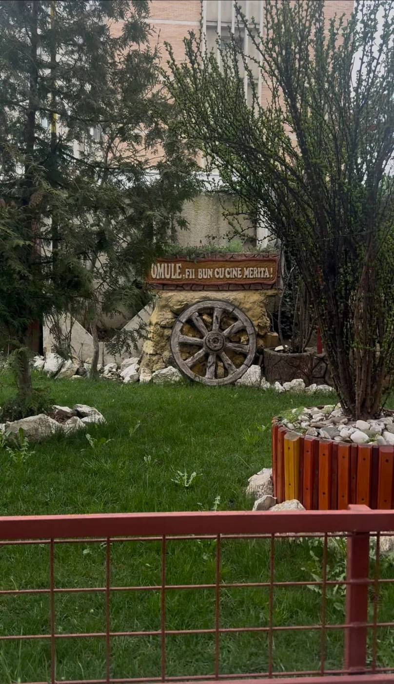 Imagine galerie articol