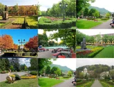 Brașovenii sunt chemați să „înconjoare” Parcul Central. Adunare publică împotriva parcării subterane de 440 de locuri