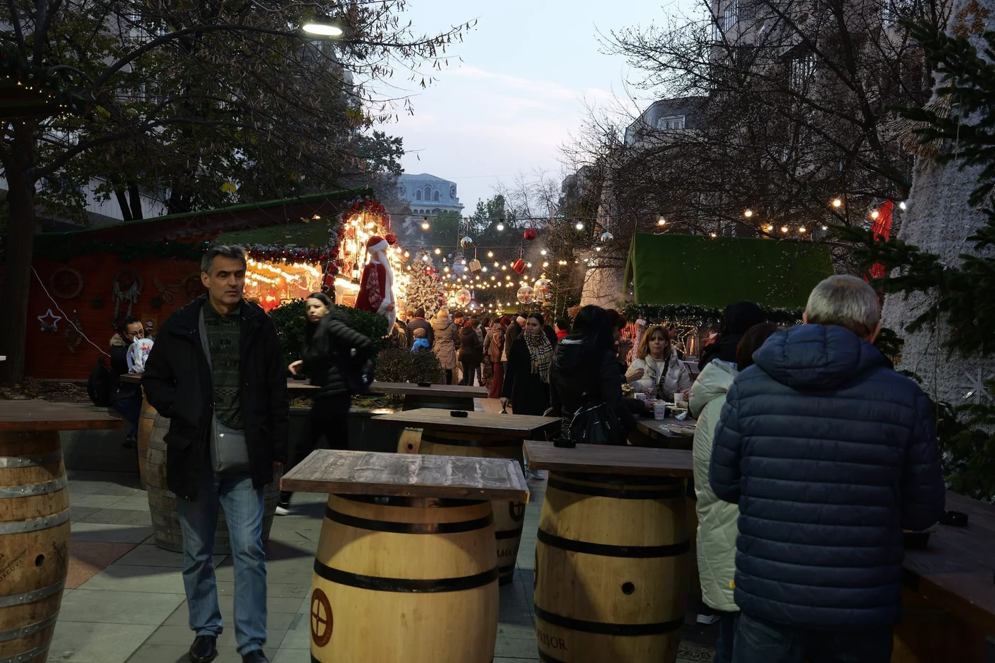 Imagine galerie articol