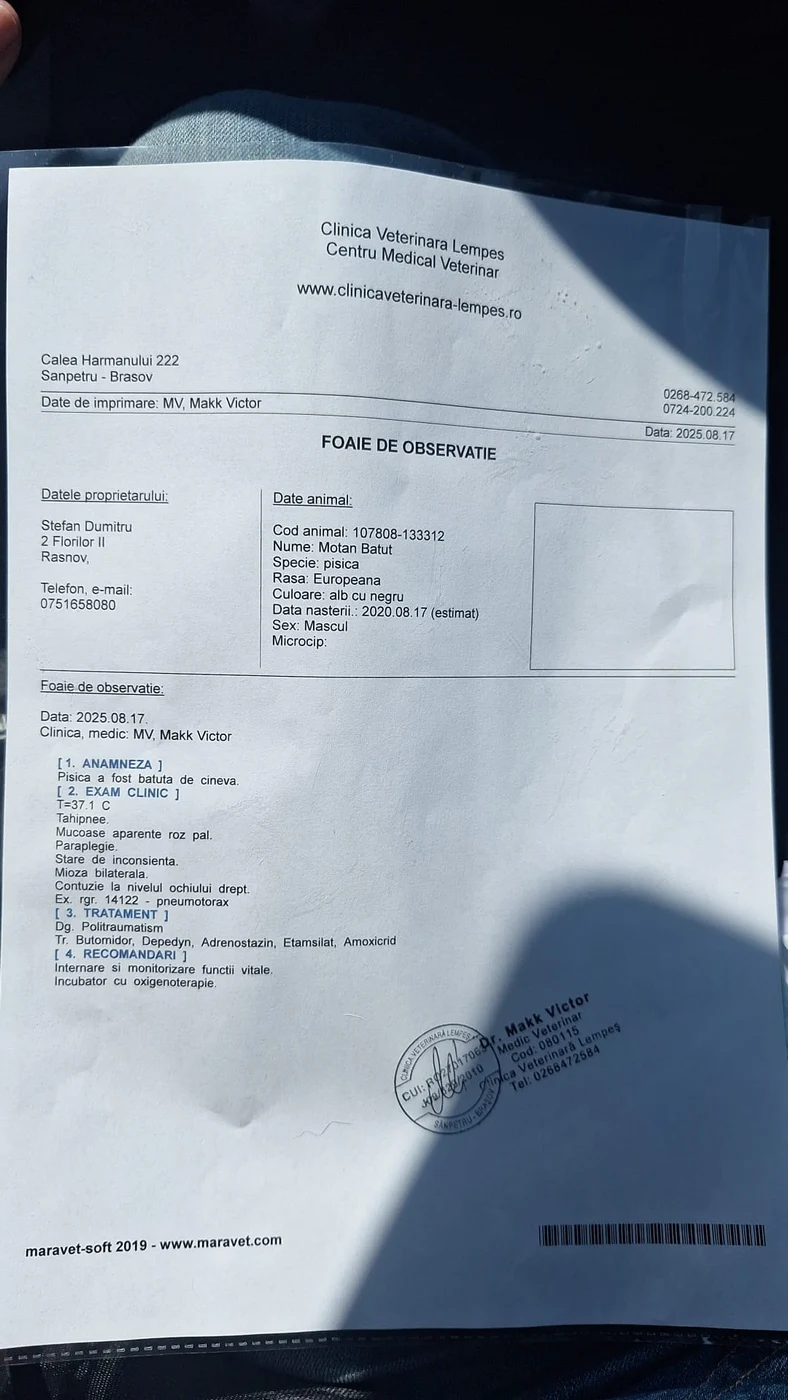 Rănile provocate de individ lui Pietricel, care, din păcate, nu a supraviețuit torturii
