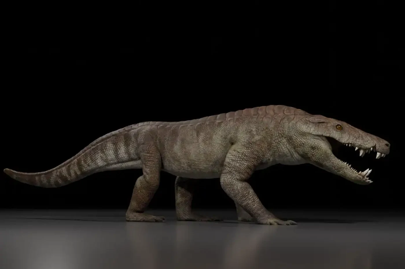 Așa arăta crocodilul prădător de care se temeau dinozaurii. Credit FOTO: Gabriel Diaz Yanten