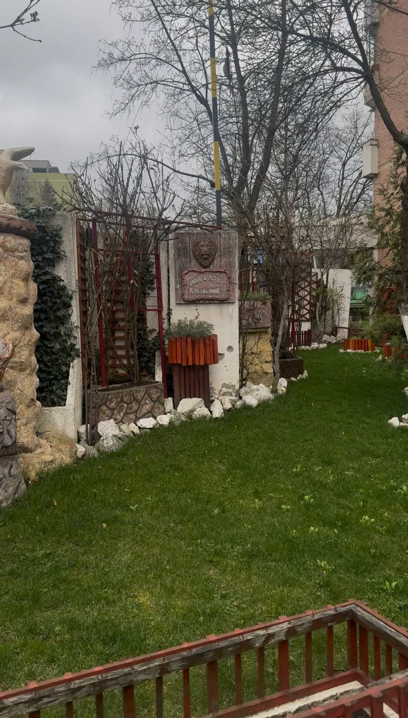 Imagine galerie articol