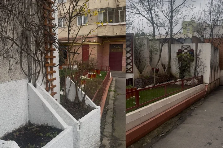 Colțul de Rai din spatele unui bloc din Brașov. Cum a putut transforma un locatar un petec de pământ VIDEO/FOTO