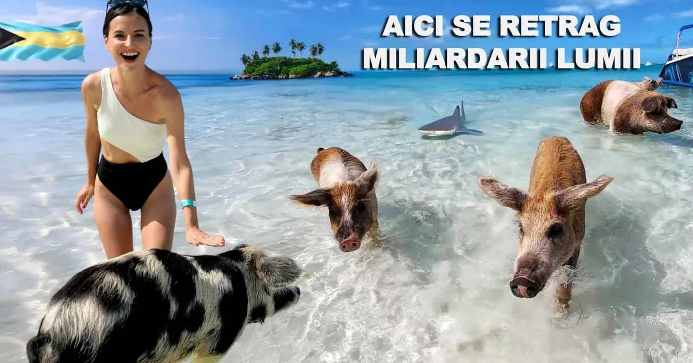 Andreia Chiperi, în apele din Bahamas, alături de porci și rechini. Foto: HaiHuin2