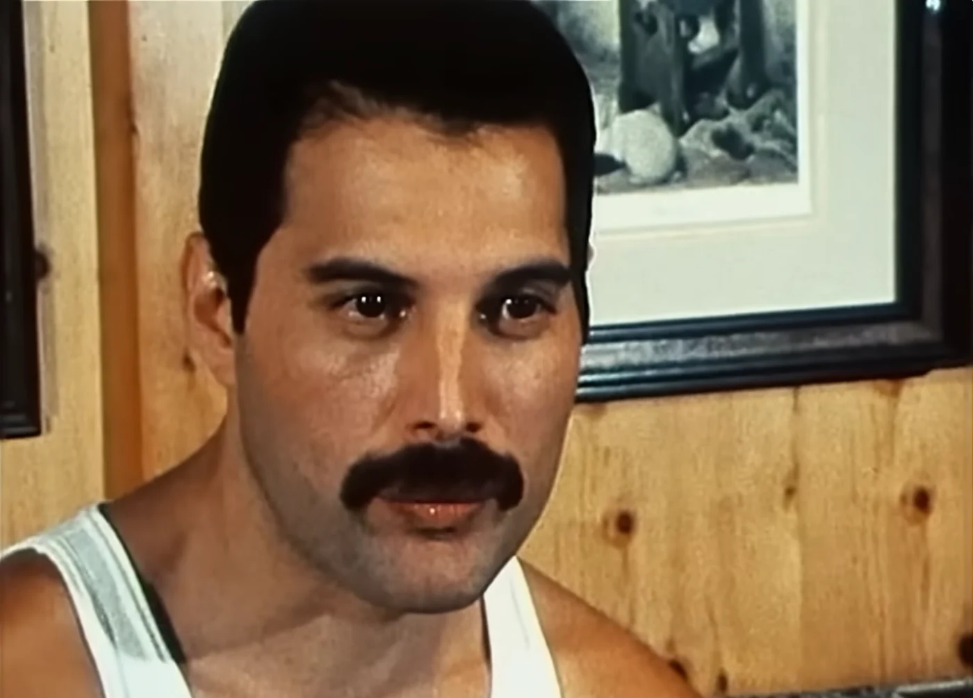 Freddie Mercury, captură video interviu 1984