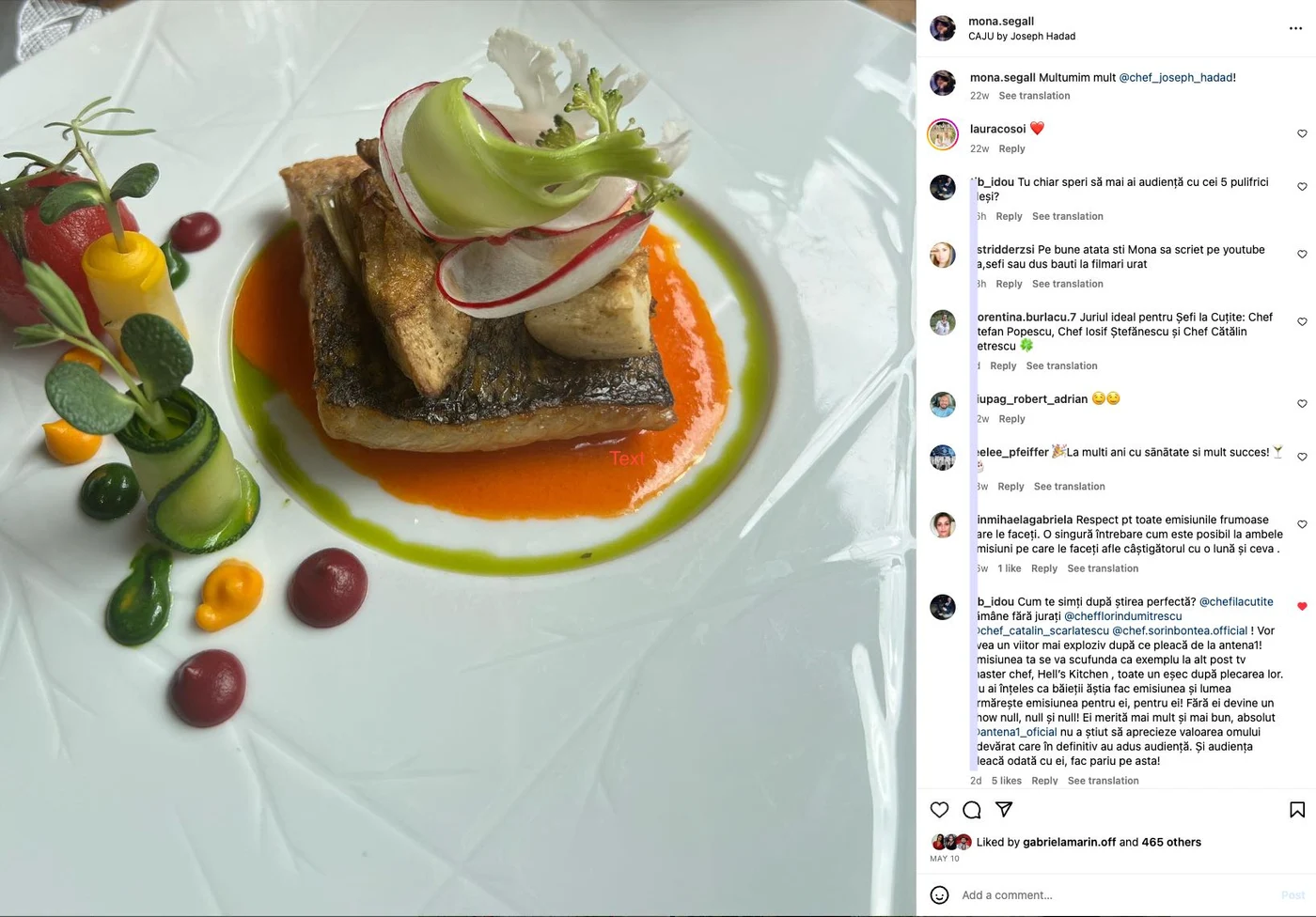 Ultima postare a Monei Segall din mai este un preparat din pește realizat de către chef Hadad, pentru care producătoarea a ținut să-i aducă mulțumiri. Foto: Instagram captură.