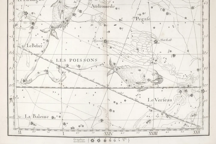 Horoscop Pești 2026, anul în care își strâng aripile rănite și încep să înoate spre liniște