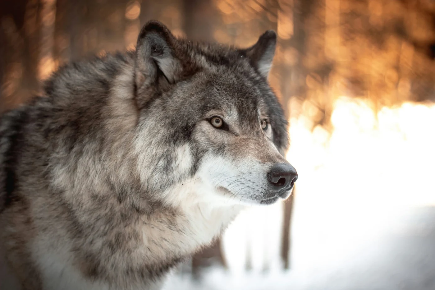 Photo by Milo Weiler / Unsplash