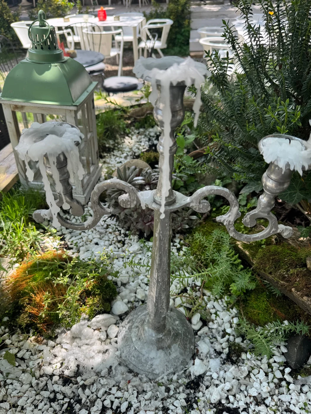 Imagine galerie articol