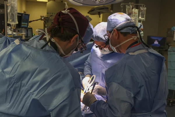 Premieră medicală: Transplant de rinichi de la un porc modificat genetic la om