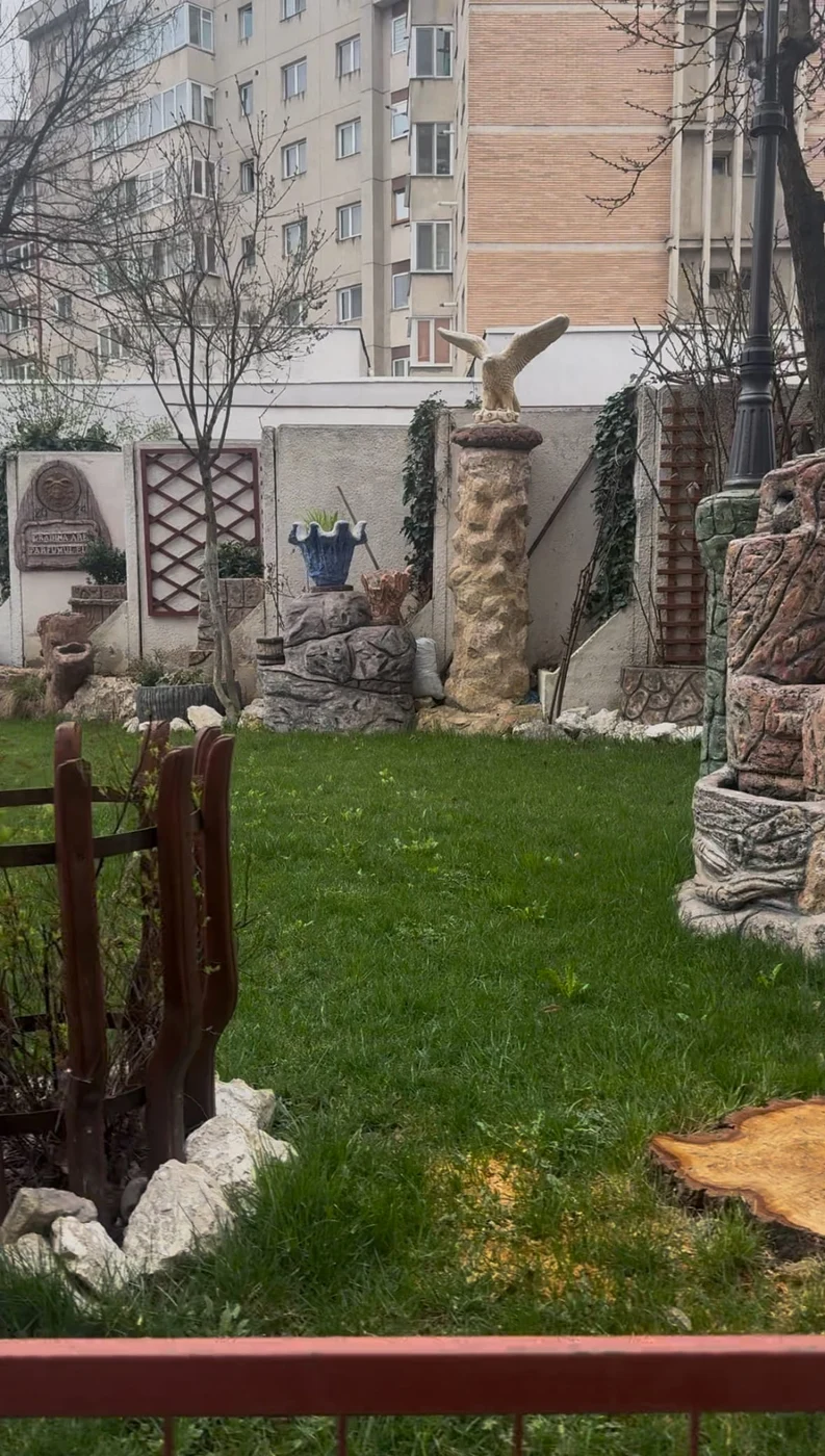 Imagine galerie articol