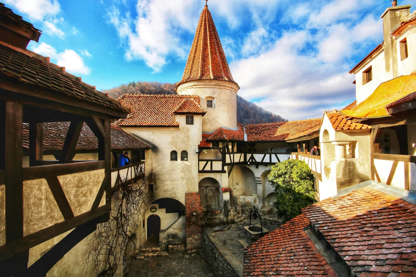 Photo by Jorge Fernández Salas / Unsplash