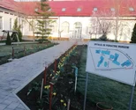 Bacterii periculoase în borșul de la mănăstire: Cazul deceselor de la Spitalul de Psihiatrie Murgeni