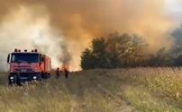VIDEO Flăcări uriașe în șase județe. 16 incendii de amploare au mistuit 1.000 hectare în țară